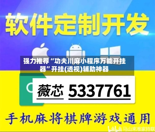 强力推荐“功夫川麻小程序万能开挂器”开挂(透视)辅助神器-第2张图片