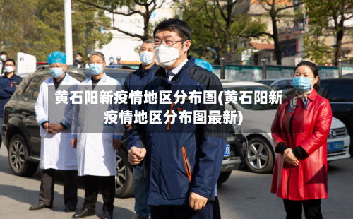 黄石阳新疫情地区分布图(黄石阳新疫情地区分布图最新)