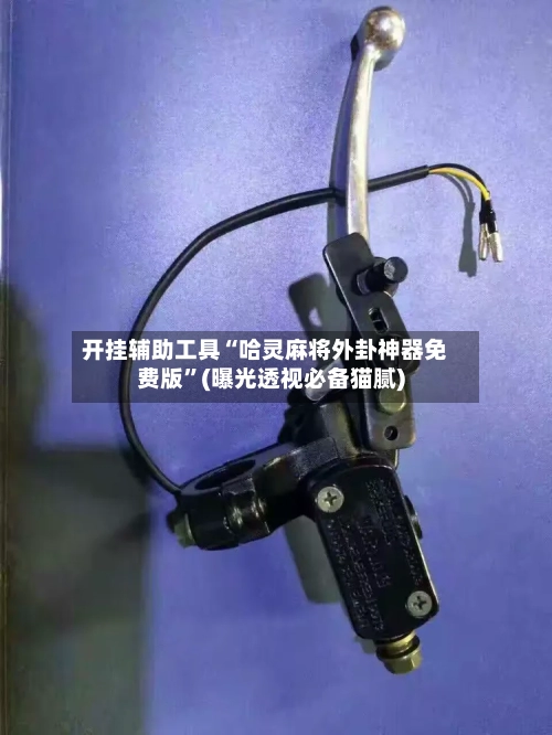 开挂辅助工具“哈灵麻将外卦神器免费版”(曝光透视必备猫腻)-第2张图片