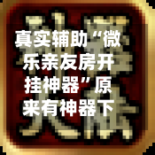 真实辅助“微乐亲友房开挂神器	”原来有神器下载！-第2张图片