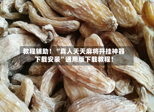 教程辅助！“真人天天麻将开挂神器下载安装”通用版下载教程！