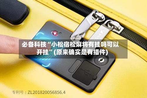 必备科技“小松宿松麻将有挂吗可以开挂”(原来确实是有插件)-第2张图片