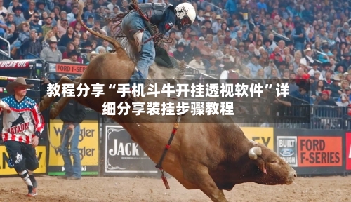 教程分享“手机斗牛开挂透视软件”详细分享装挂步骤教程-第3张图片