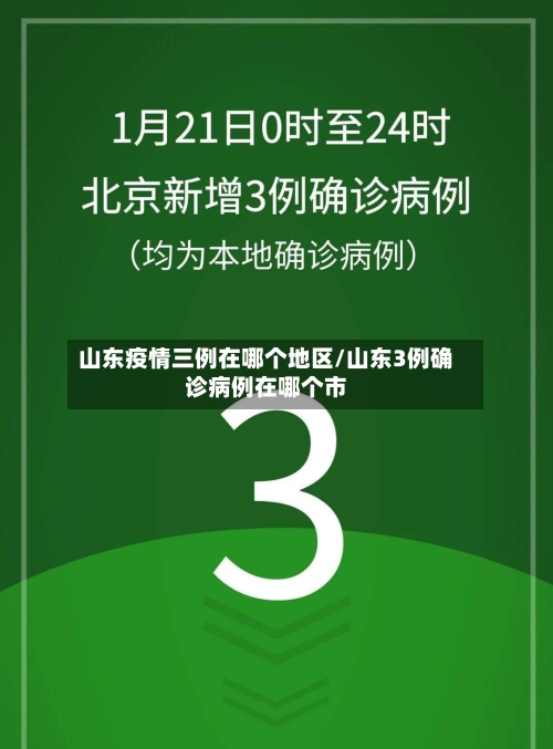 山东疫情三例在哪个地区/山东3例确诊病例在哪个市