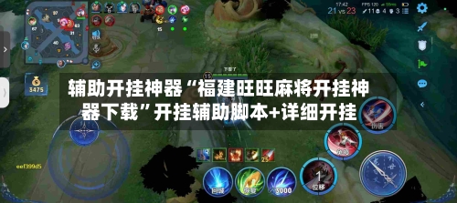 辅助开挂神器“福建旺旺麻将开挂神器下载”开挂辅助脚本+详细开挂-第3张图片