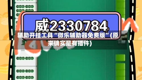 辅助开挂工具“微乐辅助器免费版	”(原来确实是有插件)-第2张图片