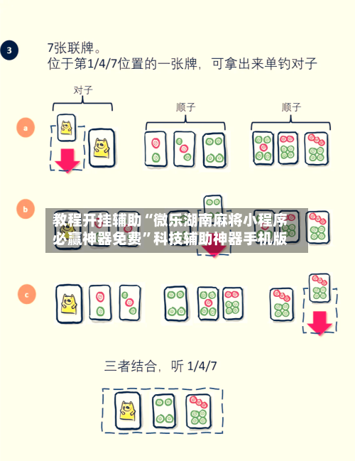 教程开挂辅助“微乐湖南麻将小程序必赢神器免费”科技辅助神器手机版-第2张图片