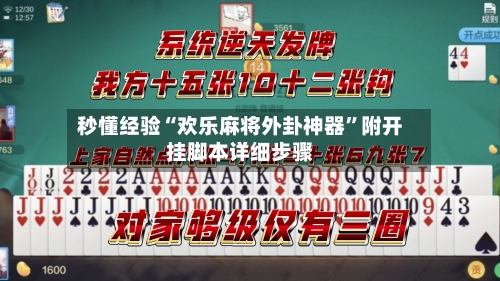 秒懂经验“欢乐麻将外卦神器	”附开挂脚本详细步骤-第2张图片