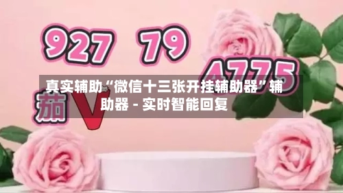 真实辅助“微信十三张开挂辅助器”辅助器 - 实时智能回复-第2张图片