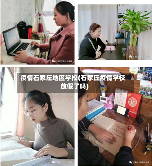 疫情石家庄地区学校(石家庄疫情学校放假了吗)