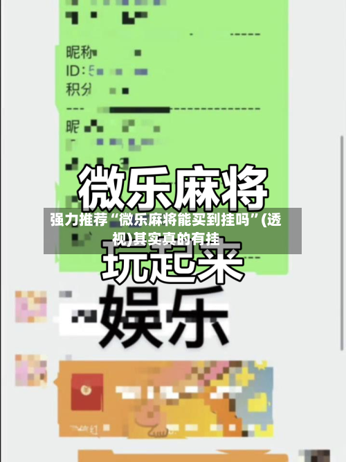 强力推荐“微乐麻将能买到挂吗”(透视)其实真的有挂-第2张图片