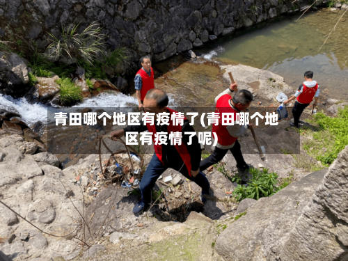 青田哪个地区有疫情了(青田哪个地区有疫情了呢)