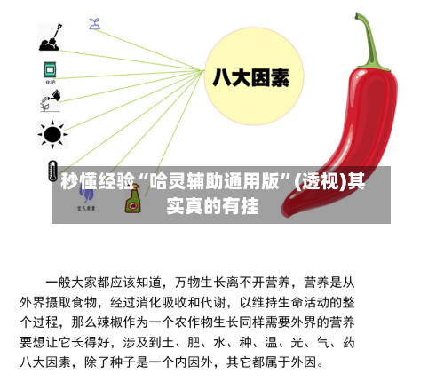 秒懂经验“哈灵辅助通用版”(透视)其实真的有挂-第2张图片