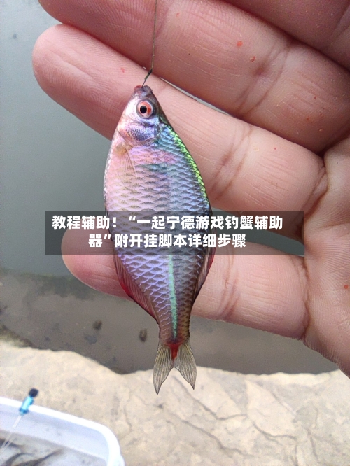 教程辅助！“一起宁德游戏钓蟹辅助器	”附开挂脚本详细步骤-第2张图片