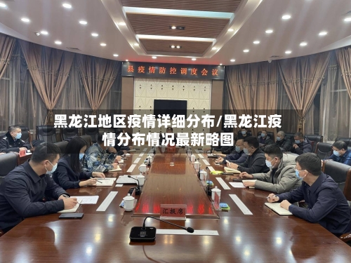黑龙江地区疫情详细分布/黑龙江疫情分布情况最新略图-第2张图片