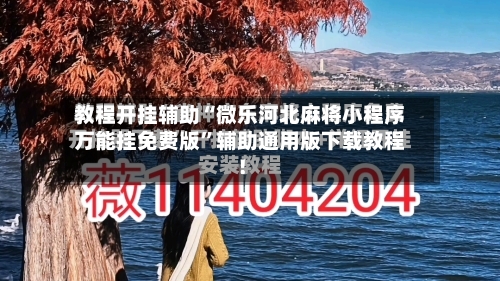 教程开挂辅助“微乐河北麻将小程序万能挂免费版	”辅助通用版下载教程！-第2张图片