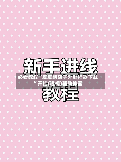 必看教程“皮皮跑胡子外卦神器下载”开挂(透视)辅助神器