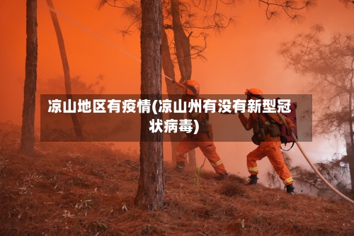 凉山地区有疫情(凉山州有没有新型冠状病毒)-第3张图片
