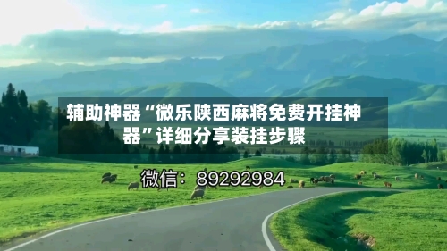 辅助神器“微乐陕西麻将免费开挂神器”详细分享装挂步骤