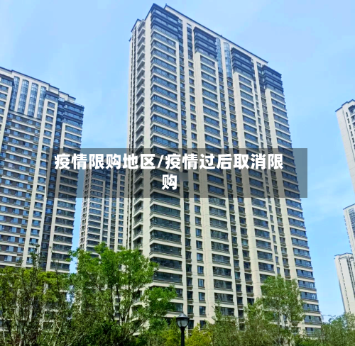 疫情限购地区/疫情过后取消限购-第2张图片