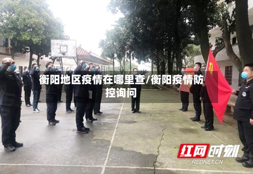 衡阳地区疫情在哪里查/衡阳疫情防控询问-第2张图片