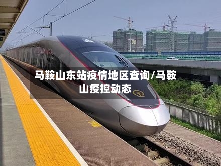 马鞍山东站疫情地区查询/马鞍山疫控动态