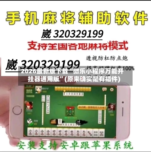 2026最新版下载“微乐小程序万能开挂器通用版	”(原来确实是有插件)-第3张图片