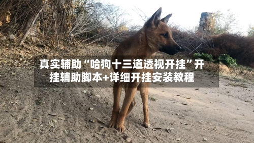 真实辅助“哈狗十三道透视开挂”开挂辅助脚本+详细开挂安装教程