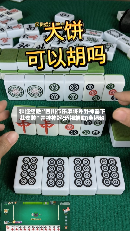 秒懂经验“四川微乐麻将外卦神器下载安装	”开挂神器{透视辅助}全揭秘-第2张图片