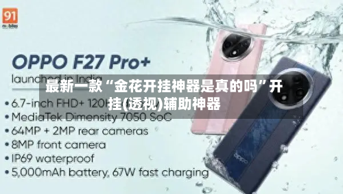 最新一款“金花开挂神器是真的吗”开挂(透视)辅助神器-第2张图片