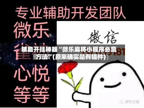 辅助开挂神器“微乐麻将小程序必赢方法”(原来确实是有插件)