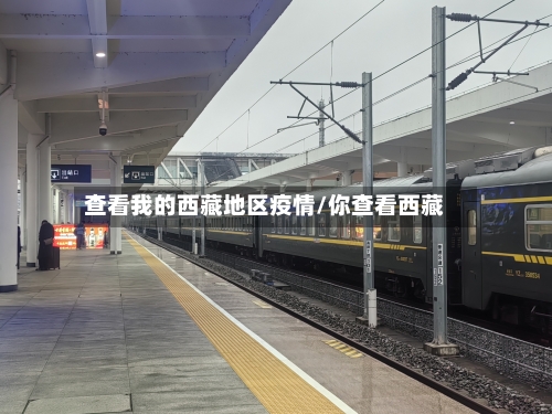 查看我的西藏地区疫情/你查看西藏