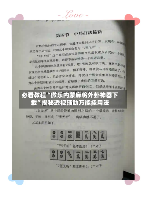 必看教程“微乐内蒙麻将外卦神器下载”揭秘透视辅助万能挂用法-第3张图片