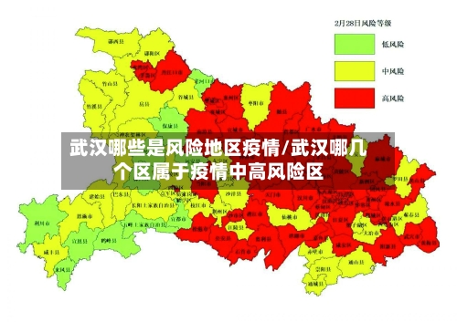 武汉哪些是风险地区疫情/武汉哪几个区属于疫情中高风险区-第2张图片