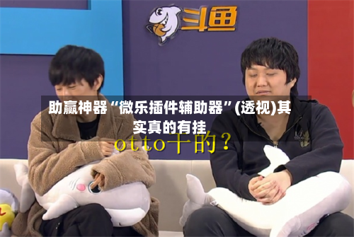 助赢神器“微乐插件辅助器”(透视)其实真的有挂-第2张图片
