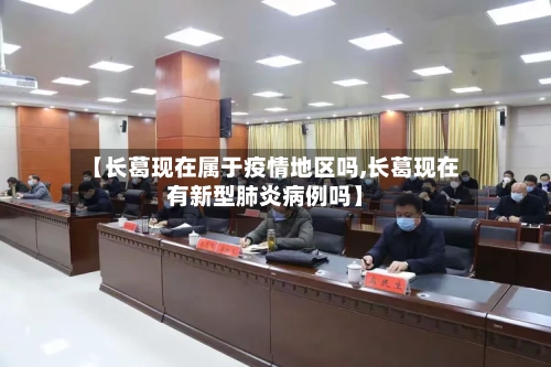 【长葛现在属于疫情地区吗,长葛现在有新型肺炎病例吗】-第3张图片