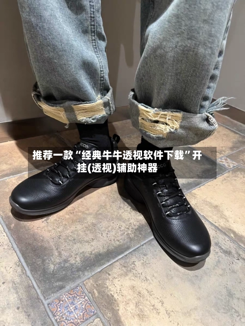 推荐一款“经典牛牛透视软件下载”开挂(透视)辅助神器