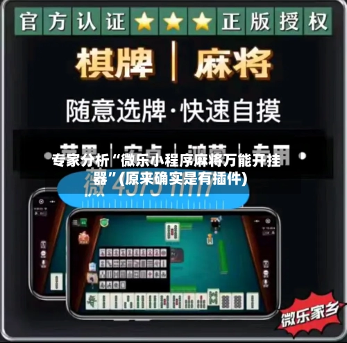 专家分析“微乐小程序麻将万能开挂器”(原来确实是有插件)