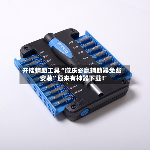 开挂辅助工具“微乐必赢辅助器免费安装”原来有神器下载！-第3张图片