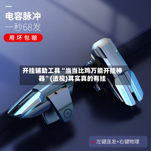 开挂辅助工具“当当比鸡万能开挂神器”(透视)其实真的有挂