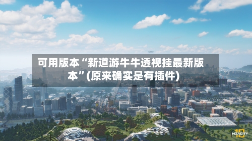 可用版本“新道游牛牛透视挂最新版本”(原来确实是有插件)