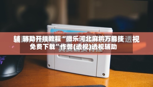 辅助开挂教程“微乐河北麻将万能挂免费下载	”作弊(透视)透视辅助-第2张图片