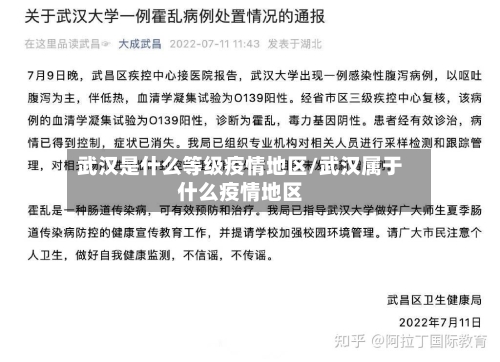 武汉是什么等级疫情地区/武汉属于什么疫情地区