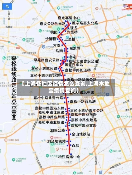 【上海各地区疫情怎么查询,上海本地宝疫情查询】-第3张图片