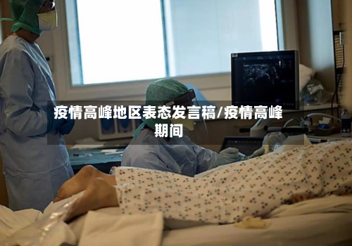 疫情高峰地区表态发言稿/疫情高峰期间