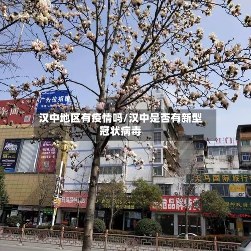 汉中地区有疫情吗/汉中是否有新型冠状病毒
