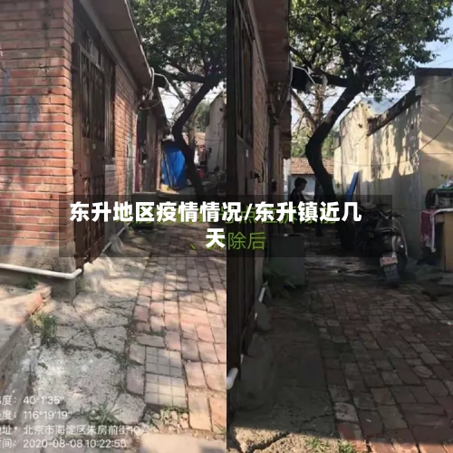 东升地区疫情情况/东升镇近几天-第3张图片