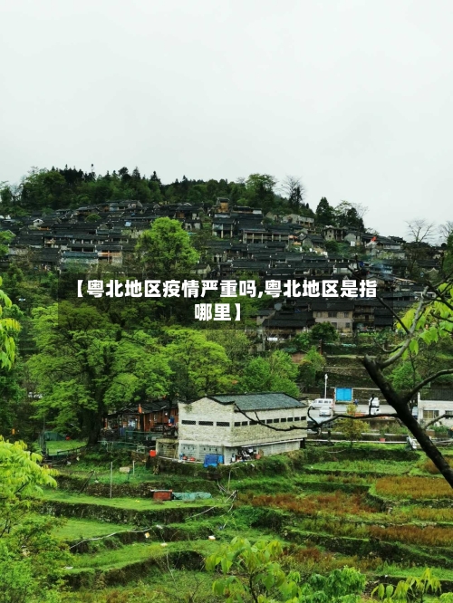 【粤北地区疫情严重吗,粤北地区是指哪里】