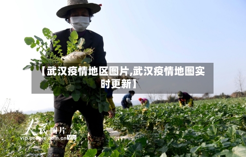 【武汉疫情地区图片,武汉疫情地图实时更新】-第3张图片