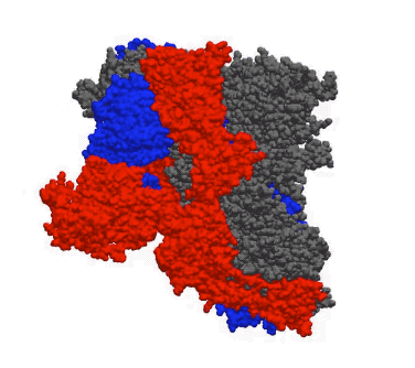 上海地区疫情加剧情况/疫情实时动态上海各区-第1张图片